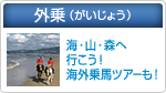 外乗（がいじょう）