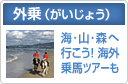 外乗（がいじょう）