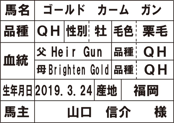 ゴールド カーム ガン
