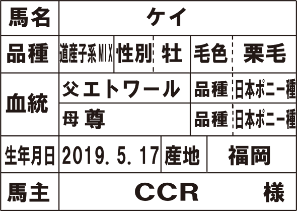 ケイ