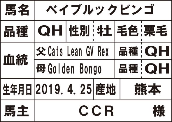 ベイブルック ビンゴ