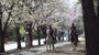 春爛漫❀八ヶ岳のお花見外乗❀