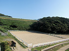 レッスン馬場（30×50m）