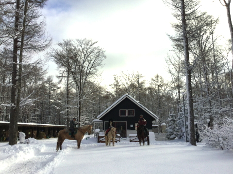 http://www.canacan.jp/news_hokkaido/171205_3.jpg