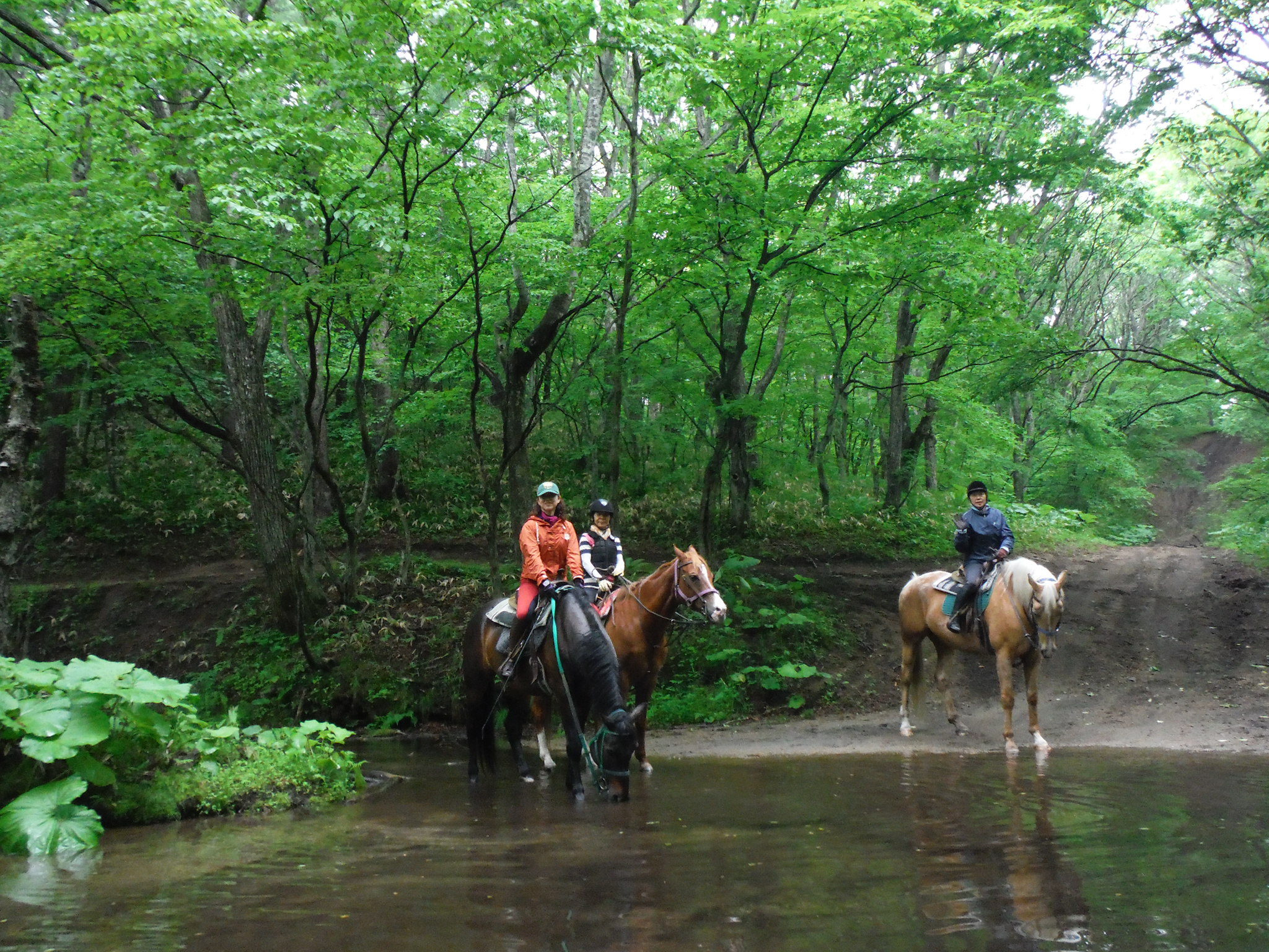 http://www.canacan.jp/news_hokkaido/DSCF3280.JPG