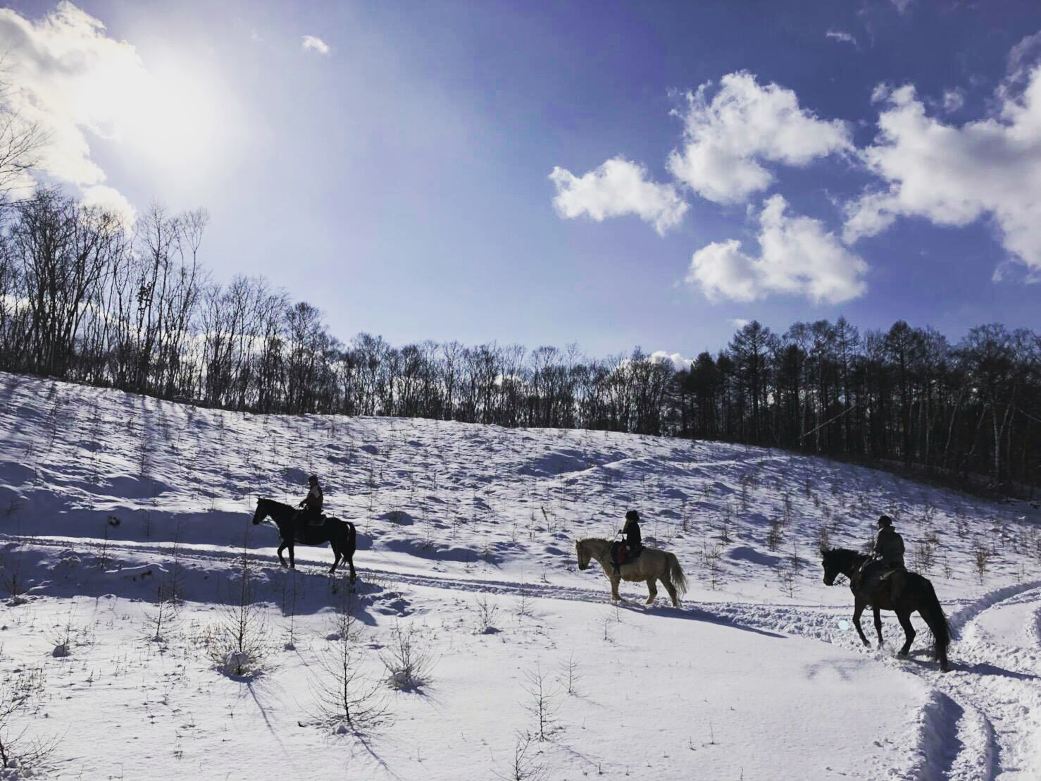 http://www.canacan.jp/news_hokkaido/IMG_0942.JPG