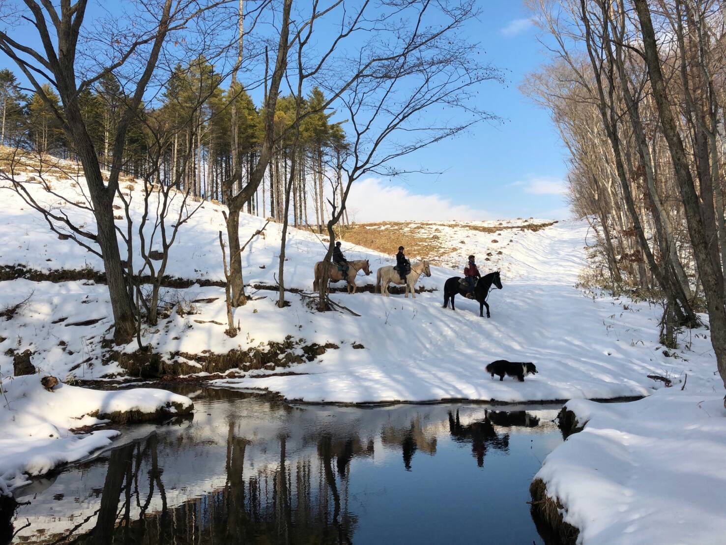 http://www.canacan.jp/news_hokkaido/IMG_09512.JPG