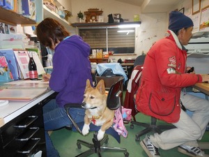 s-DSCN0190.jpg
