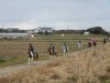 DSCN0347.jpg