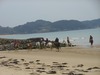 DSCN0512.jpg