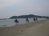 P1040096.jpg