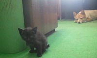 s-2012-05-10 15.00.38.jpg