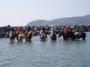 s-PC1100116.25.jpg