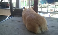 s-2012-07-08 16.01.53.jpg