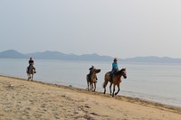 s-DSC_0375.jpg