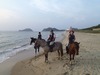 s-P8120557.1.jpg