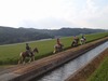 s-P9071249.jpg