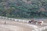 DSC_1125.jpg