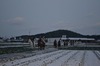 s-DSC_07891.2.jpg