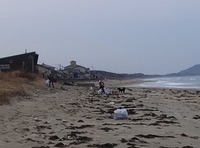 s-IMG00415.jpg