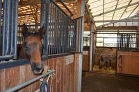 s-DSC_01775.27.jpg