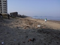 s-IMG00811.jpg