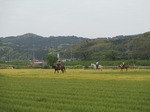 s-IMG_01255.31.jpg