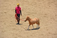 s-DSC_02716.5.jpg