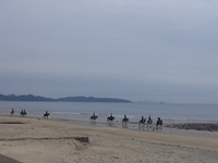 s-IMG01031.jpg