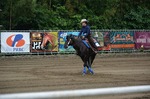 56.DSC_0023.jpg