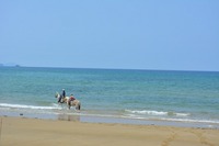 DSC_0663.jpg