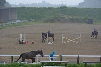 DSC_00399.15.jpg