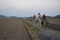 1.1DSC_0022.jpg