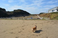 DSC_0364.jpg
