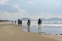 DSC_0398.jpg