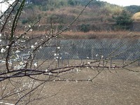 2.6IMG_2710.jpg