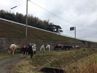 3.2IMG_3128.jpg