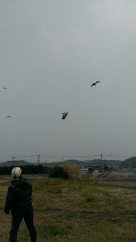 IMG_3266.jpg