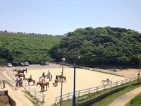 IMG_4703.jpg