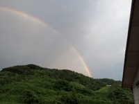 IMG_60937.31.jpg