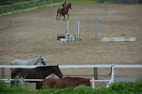 DSC_0155.jpg