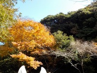 DSCN0607.jpg