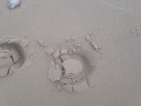 IMG_8451.jpg