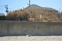 3.26DSC_0508.jpg