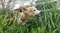 5.7IMG_6502.jpg