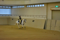 DSC_0026.jpg