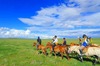 120811-Mongol-hoshinoie-horse-riding-school-2151.jpg
