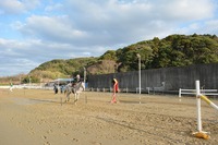 2.11DSC_0027.jpg