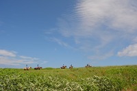 7.31DSC_0012.jpg