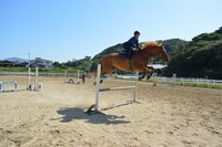 10.3DSC_0113.jpg